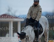 Berlin Tosc Tour2013- S5 1825 : Arezzo, Berlin, Cavalli d'Italia, Toscana Tour 2013, foto di Stefano Secchi ©
